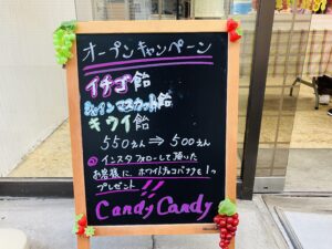 Candy Candy3