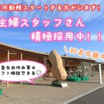 道の駅木更津 うまくたの里