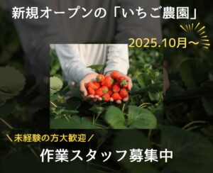 いちご農園