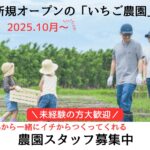 龍宮城スパホテル三日月