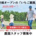 龍宮城スパホテル三日月