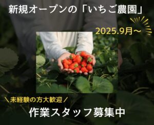三日月　いちご