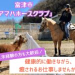 アマハホースクラブ