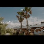WILDBEACH 木更津